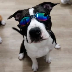 K9 Sport Sack Matkustaminen|Koiran Kuljetus Ja Autoilu*Koiran suojalasit K9 Sport Shades, musta