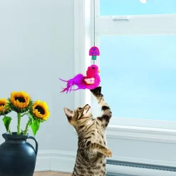 Kong Kissanhuiskat Ja -Onget*Cat Connects Window Teaser