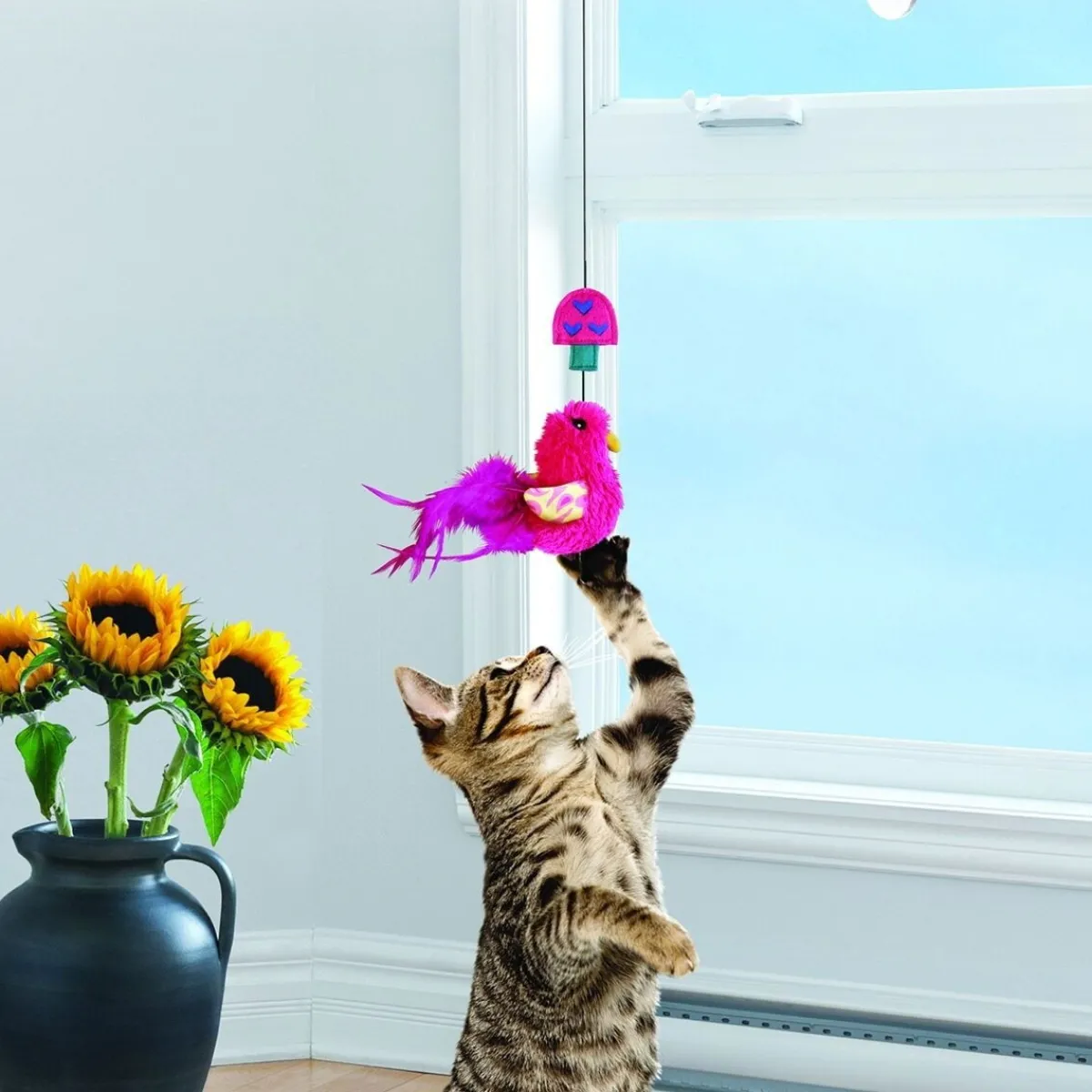 Kong Kissanhuiskat Ja -Onget*Cat Connects Window Teaser