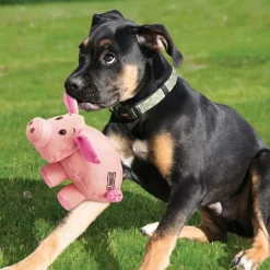 Kong Koiran Pehmolelut|Koiran Vinkulelut*Phatz Pig