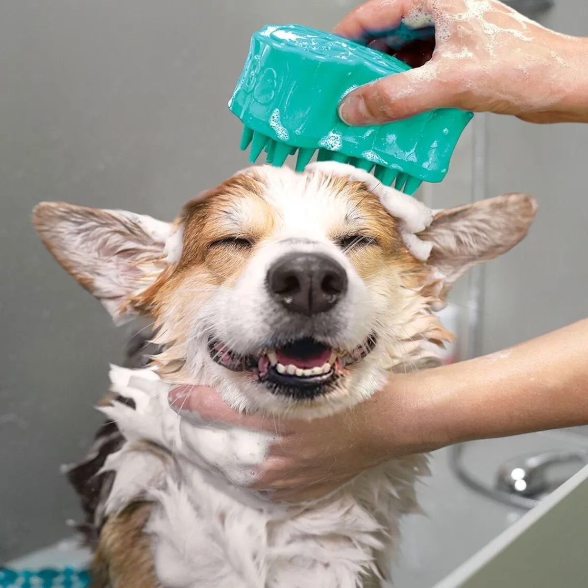 Kong Harjat, Karstat Ja Suat|Koiran Trimmaus Ja Turkinhoito*ZoomGroom® Bubbles L