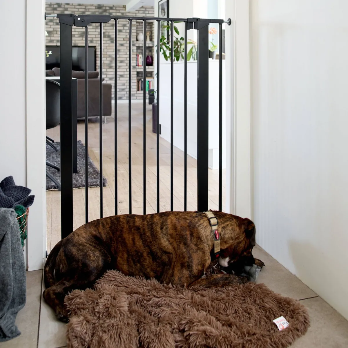 DogSpace Portit|Häkit*Korkea koiraportti Bonnie 73,5-79,6 x 104,5 cm