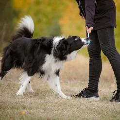 Pro Dog Naksuttimet Ja Kosketuskepit*Kosketuskeppi Target telesk.