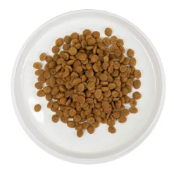 Sissi Kissan Kuivaruoka*Kotikissa 1,4 kg