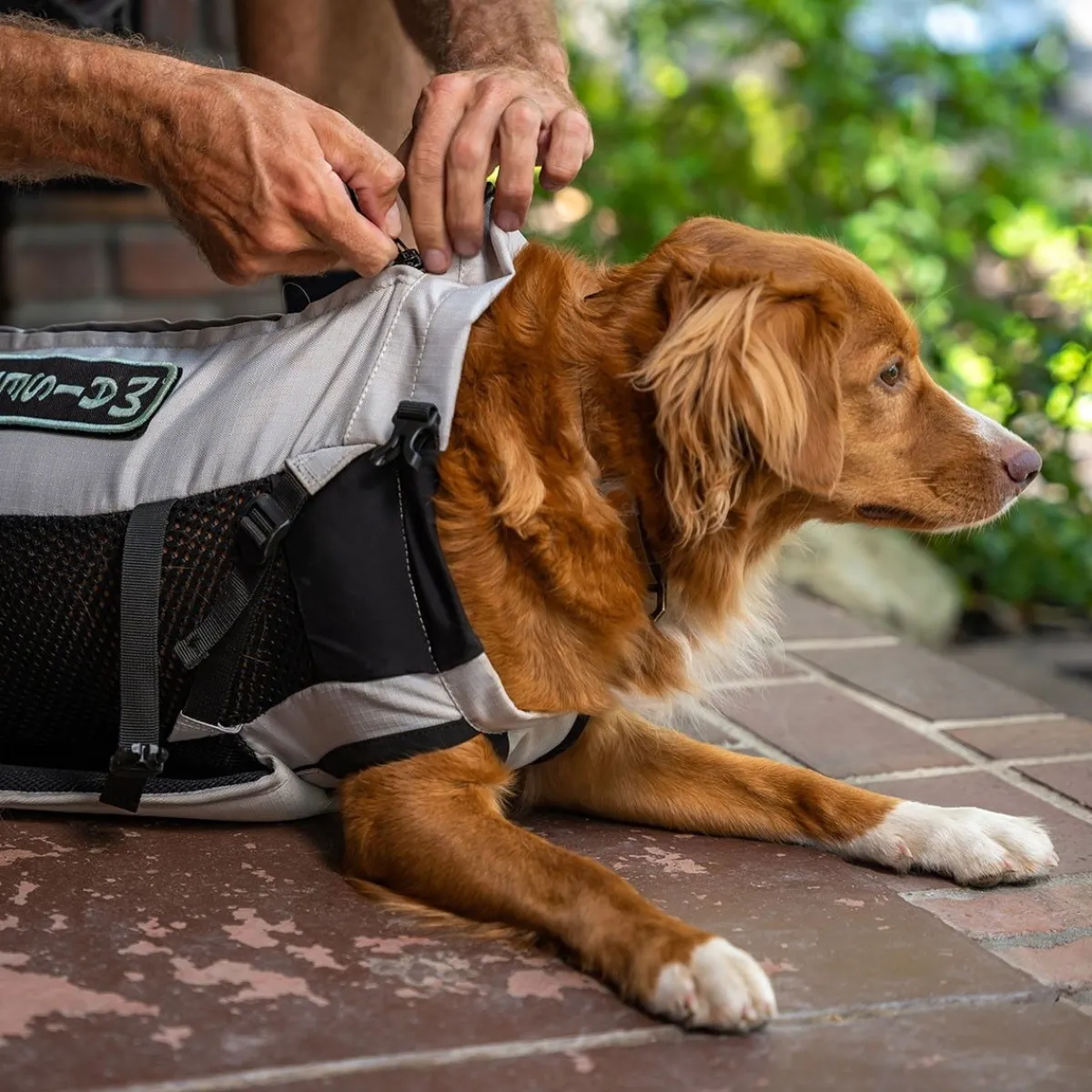 K9 Sport Sack Häkit|Kantolaukut Ja -Reput*Knavigate, Harmaa