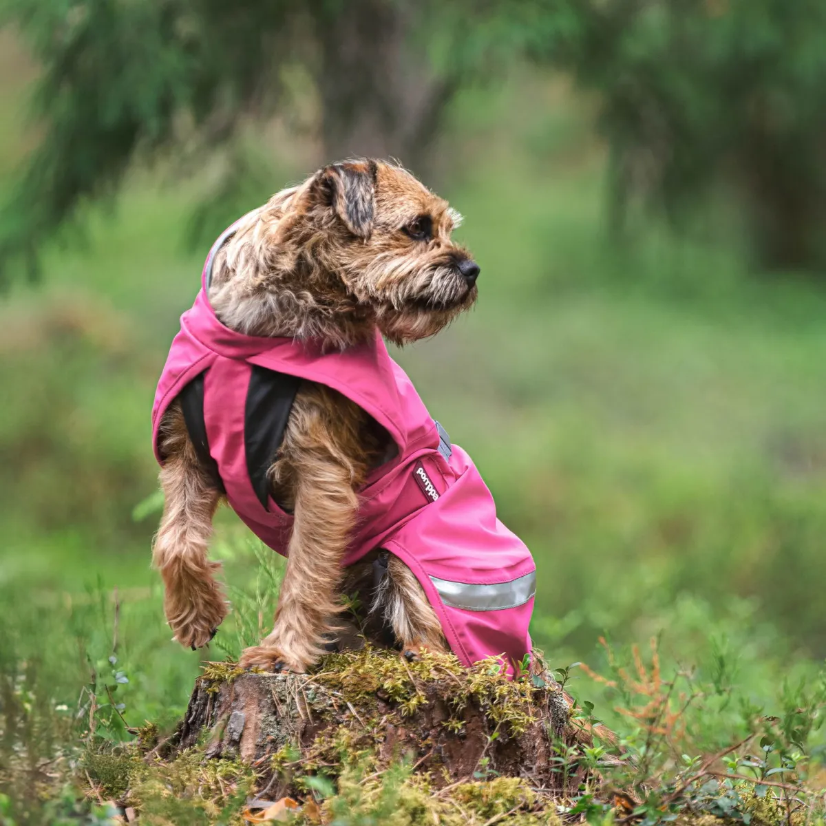Pomppa Koiran Vaatteet*Kuori, pinkki