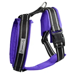 Kusse & Kutta Koiran Valjaat*Kusse&Kutta-koiran valjaat softshell-pehmusteella, violetti