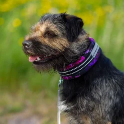 Kusse & Kutta Koiran Pannat*Kusse&Kutta lycra-panta, violetit kukat