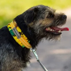 Kusse & Kutta Koiran Pannat*Kusse&Kutta puolikiristävä panta, auringonkukka