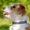 Kusse & Kutta Koiran Pannat*puolikiristävä panta, hento ruusu