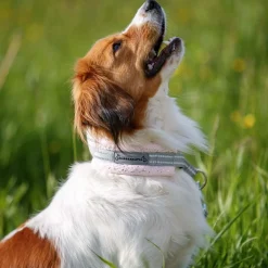 Kusse & Kutta Koiran Pannat*Kusse&Kutta puolikiristävä pehmopanta, vaaleanpunainen kimalle