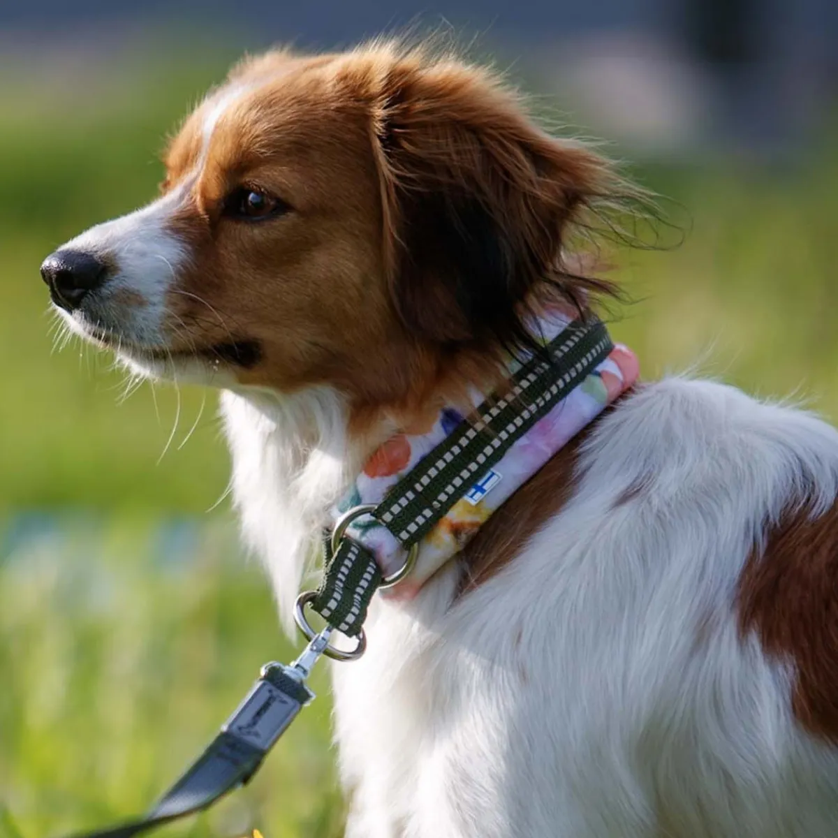Kusse & Kutta Koiran Pannat*Kusse&Kutta puolikiristävä pehmopanta, puutarhakukat