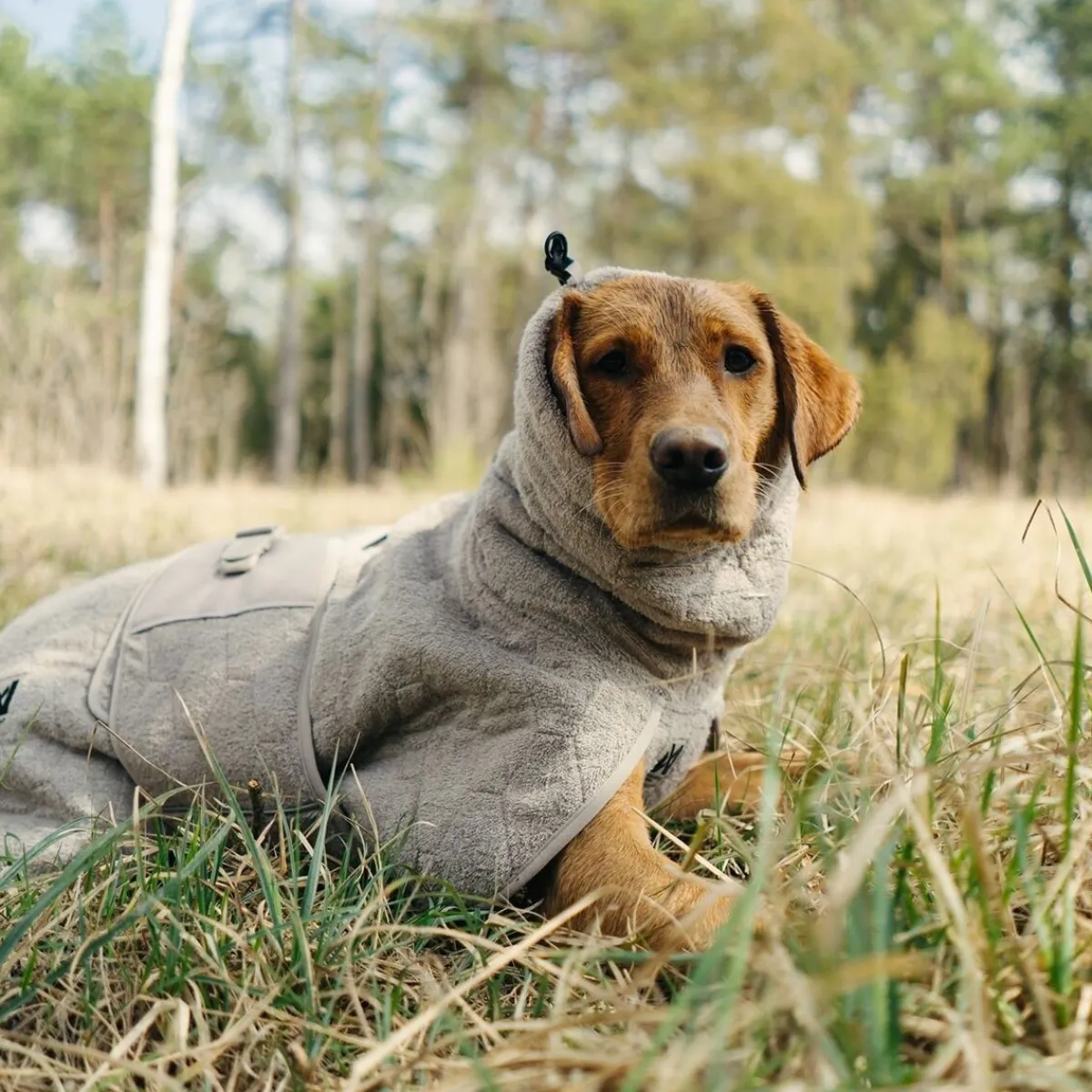 Non-stop dogwear Koiran Vaatteet|Koiran Takit*Kylpytakki koiralle Drying