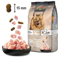 Leonardo Tarjoukset Kissoille|Kissan Kuivaruoka*Adult Grain Free Maxi