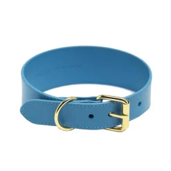 Collar of Sweden Koiran Pannat*Leveä solkipanta , neonsininen
