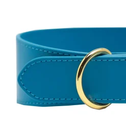 Collar of Sweden Koiran Pannat*Leveä solkipanta , neonsininen