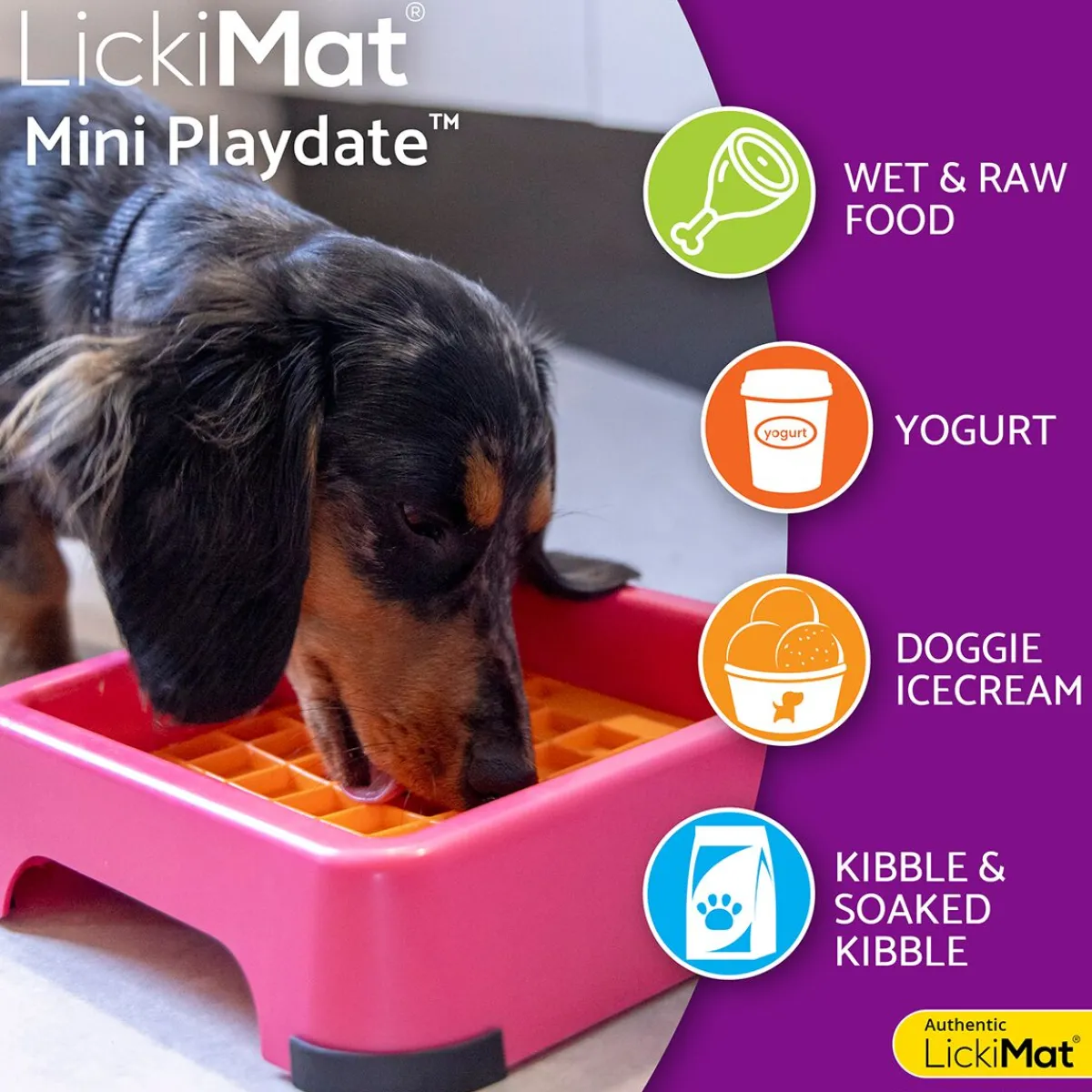 LickiMat Koiranpennun Ruokailu|Aktivointikupit Ja Nuolumatot*Mini Playdate nuolumatto