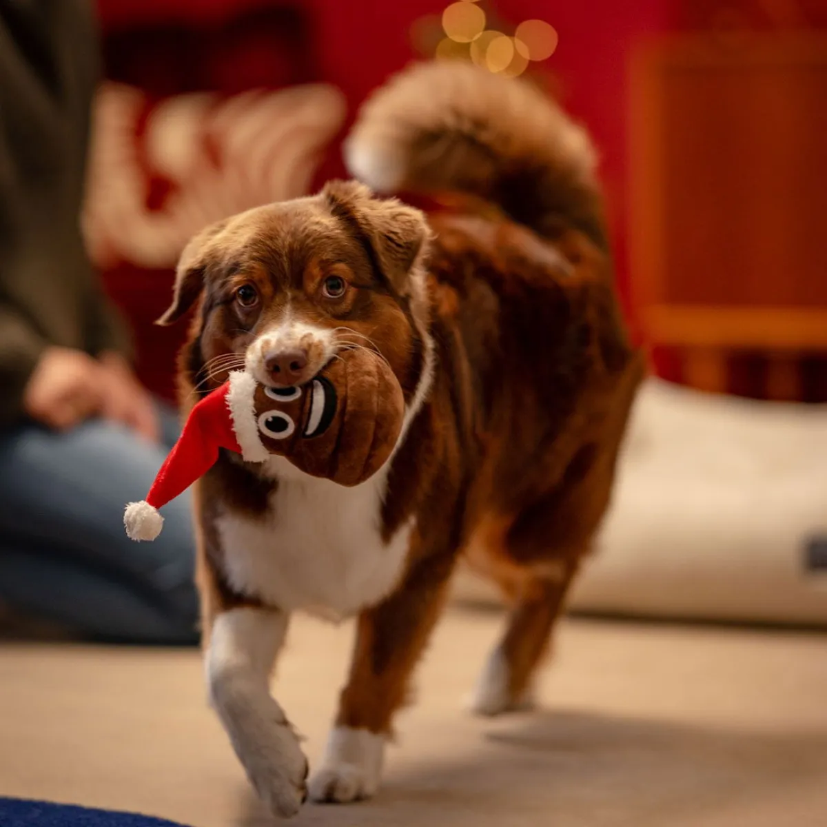 Little&Bigger Koiran Pehmolelut|Koiran Vinkulelut*Seasons Classics Xmas-kakka