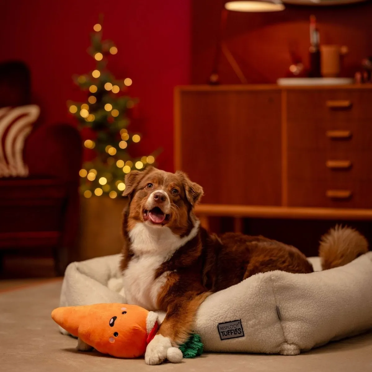 Little&Bigger Koiran Köysilelut*Xmas Stories XL iloinen porkkana köydellä