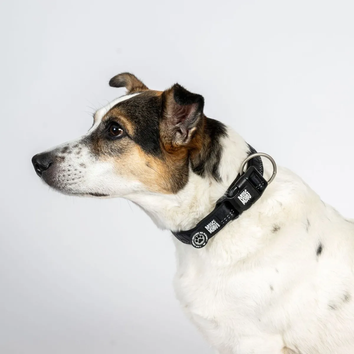 Max&Molly Koiran Pannat|Uutuudet Koirille*Smart ID -kaulapanta Matrix 2.0 musta
