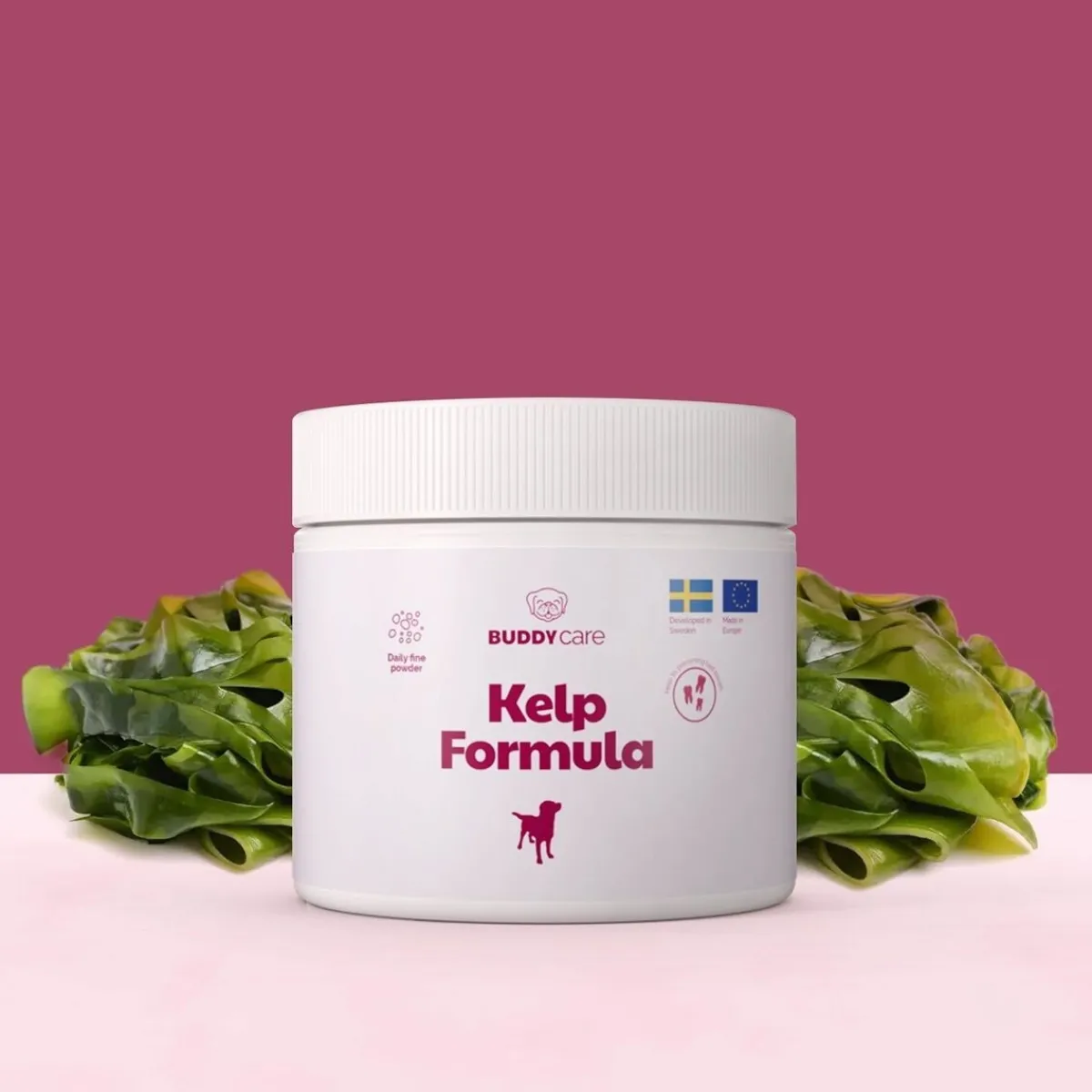 Buddy Öljyt, Vitamiinit Ja Lisäravinteet|Hoito Ja Terveys*Merilevä koiralle Care Kelp Formula 250 g