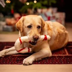 Xmas Koiran Jouluherkut Ja Kalenterit|Puruluut*Naudannahkainen karkkikeppi