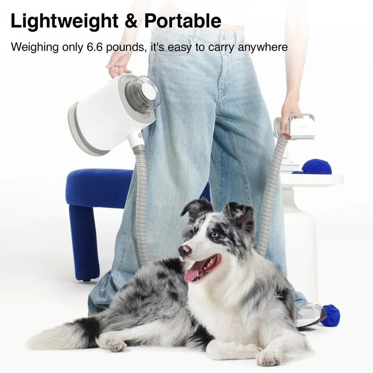 Neakasa Koiranäyttelyt|Koiran Trimmaus Ja Turkinhoito*P0 Pro Pet Grooming Kit