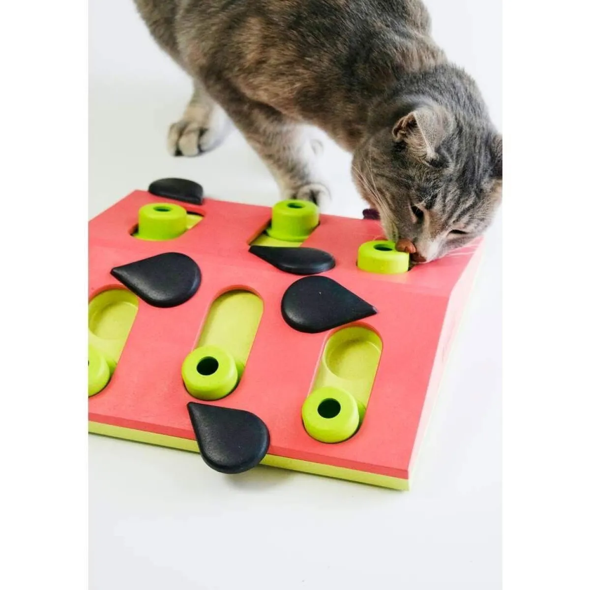 Nina Ottosson Kissan Pelit Ja Aktivointilelut*Cat Melon Madness Puzzle and Play punainen