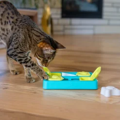 Nina Ottosson Kissan Pelit Ja Aktivointilelut*Catstages Kitty Cube kissan aktivointilelu