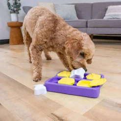 Nina Ottosson Koiran Aktivointilelut Ja -Pelit*Dog Brick Small
