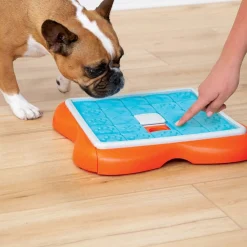 Nina Ottosson Koiran Aktivointilelut Ja -Pelit*Dog Challenge Slider oranssi-turkoosi