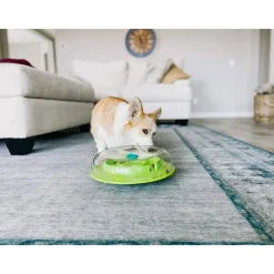 Nina Ottosson Koiran Aktivointilelut Ja -Pelit*Dog Wobble Bowl lime