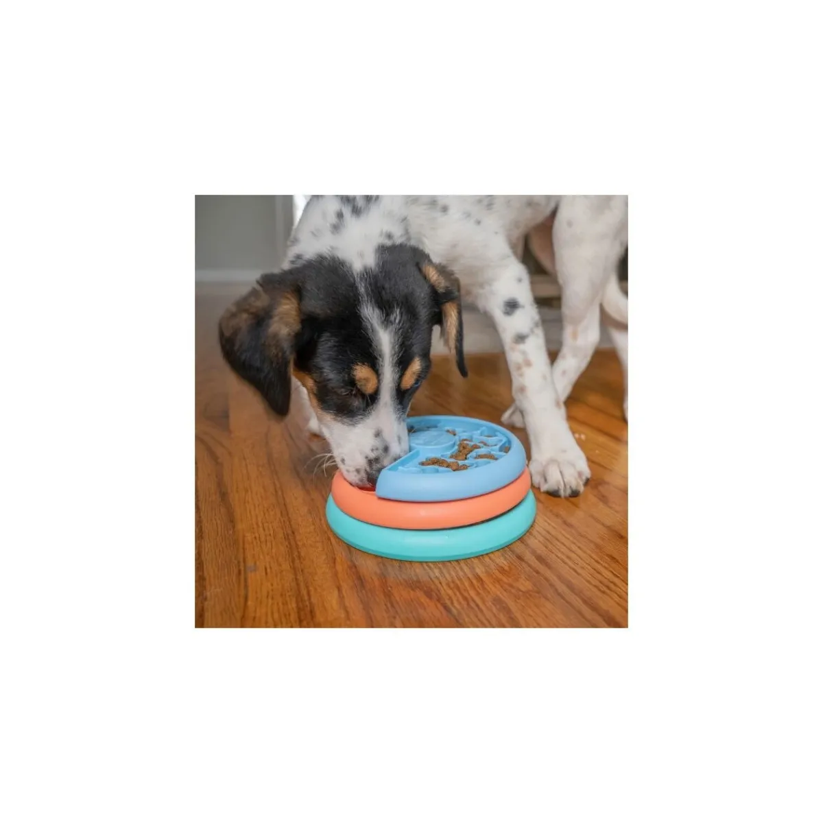Nina Ottosson Koiranpennun Lelut|Koiran Aktivointilelut Ja -Pelit*Lickin' Layers Puppy Food puzzle