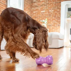Nina Ottosson Koiran Aktivointilelut Ja -Pelit*Outward Hound Double Snoop, lila