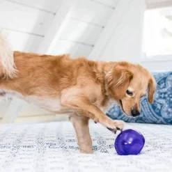 Nina Ottosson Koiran Aktivointilelut Ja -Pelit*Outward Hound Lil Snoop, lila