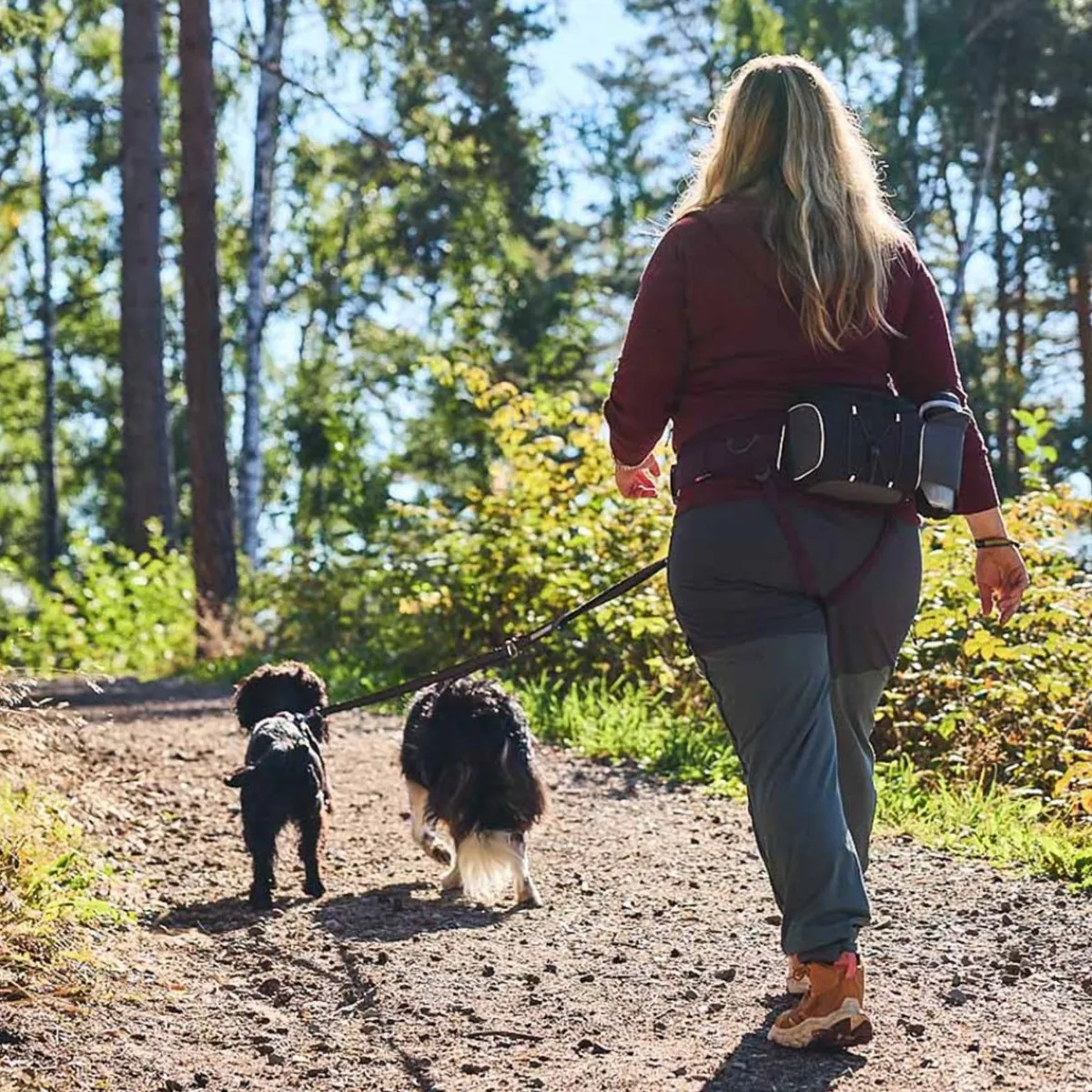 Non-stop dogwear Koiran Hihnat Ja Flexit|Retkeily Koiran Kanssa*Non-Stop Belt laukku vetovyöhön, musta/harmaa