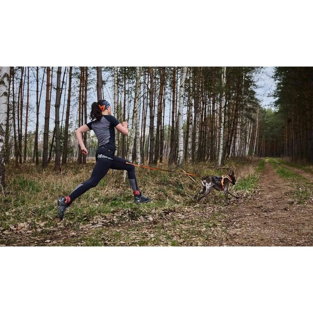 Non-stop dogwear Koiran Hihnat Ja Flexit|Retkeily Koiran Kanssa*Non-Stop Canix Pro juoksuvyö