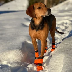 Non-stop dogwear Koiran Vaatteet|Koiran Tossut*Non-Stop Contact pitkävartiset tossut, 4kpl