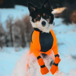 Non-stop dogwear Koiran Vaatteet|Koiran Tossut*Non-Stop Contact pitkävartiset tossut, 4kpl