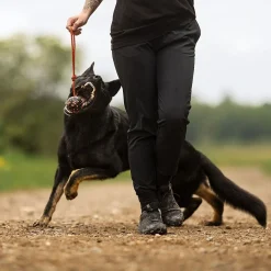 Non-stop dogwear Koiran Köysilelut|Koiran Pallot*Non-Stop Dog ball on rope