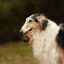 Non-stop dogwear Koiran Köysilelut|Koiran Pallot*Non-Stop Dog ball on rope
