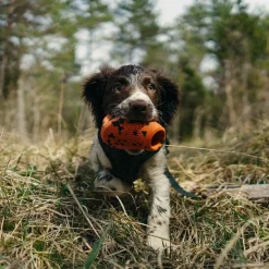 Non-stop dogwear Koiran Pallot Ja Heittolelut*Non-Stop Dog kuminen aktivointilelu