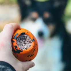 Non-stop dogwear Koiran Pallot Ja Heittolelut*Non-Stop Dog kuminen aktivointilelu