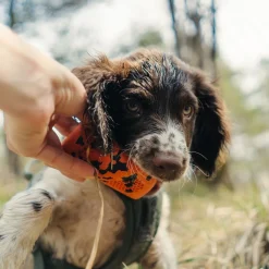 Non-stop dogwear Koiran Pallot Ja Heittolelut*Non-Stop Dog kuminen aktivointilelu