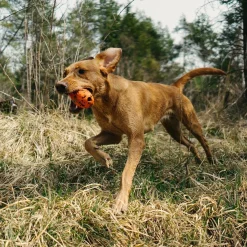 Non-stop dogwear Koiran Pallot Ja Heittolelut*Non-Stop Dog kuminen aktivointilelu