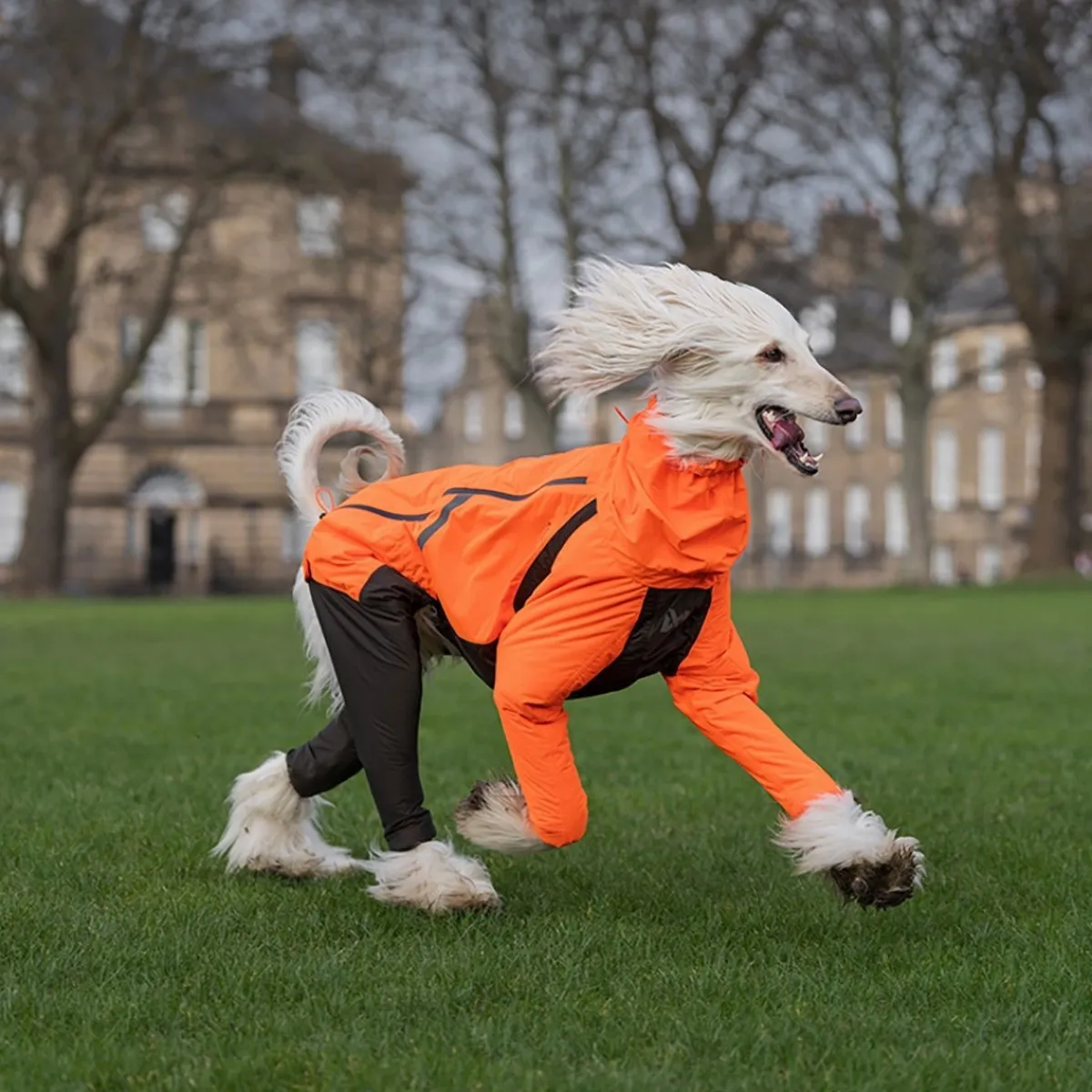 Non-stop dogwear Koiran Haalarit|Koiran Vaatteet*Fjord 2.0 sadehaalari koiralle
