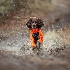 Non-stop dogwear Koiran Haalarit|Koiran Vaatteet*Fjord 2.0 sadehaalari koiralle