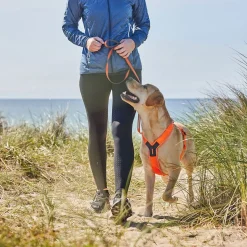 Non-stop dogwear Koiran Valjaat*Line harness 5.0, oranssi