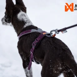 Non-stop dogwear Koiran Valjaat*Line harness 5.0, violetti