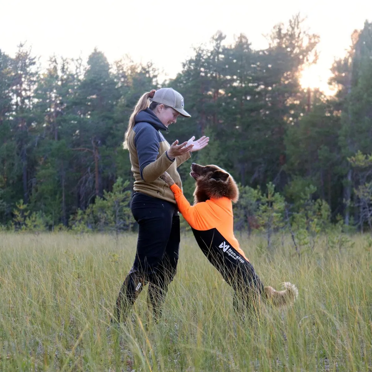 Non-stop dogwear Koiran Haalarit|Koiran Vaatteet*Protector puku, urosmalli